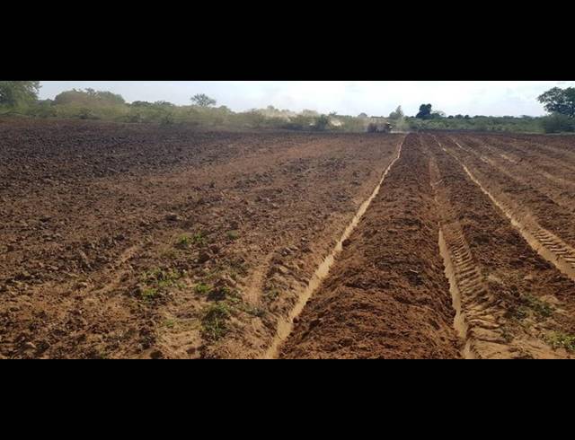 FARM FOR SALE IN MANGONDI